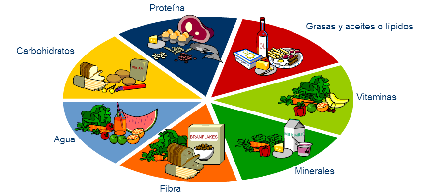 Biologia Plato Del Buen Comer 2502